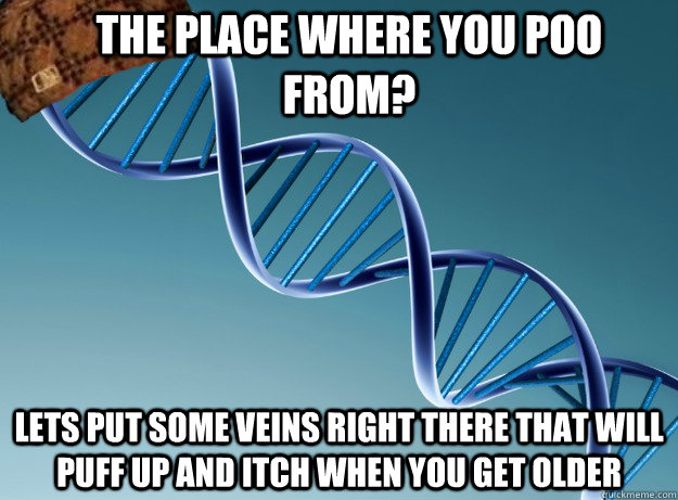 THE place where you poo from? lets put some veins right there that will puff up and itch when you get older  Scumbag Genetics