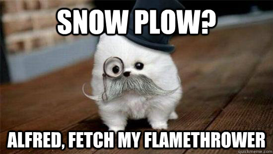 snow plow? Alfred, fetch my flamethrower  like a sir