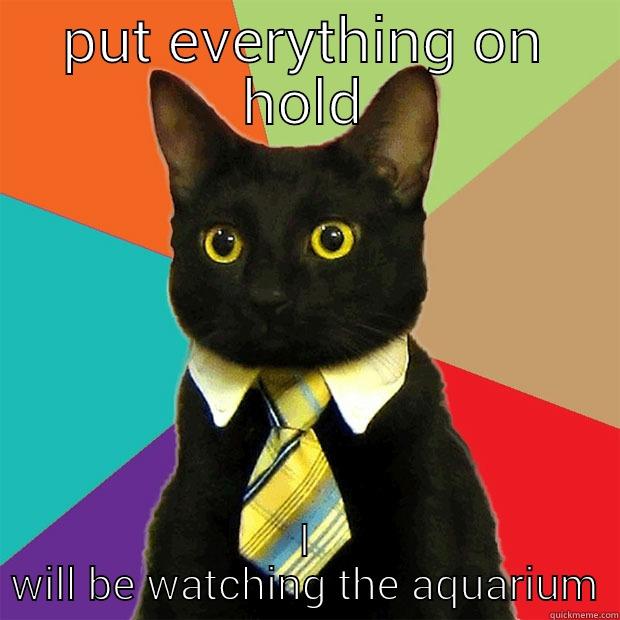 fish cat - PUT EVERYTHING ON HOLD I WILL BE WATCHING THE AQUARIUM Business Cat