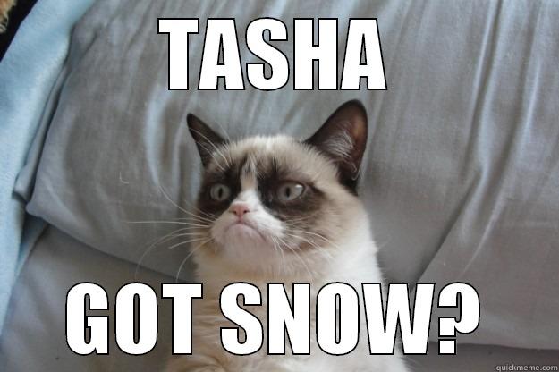 TASHA GOT SNOW? Grumpy Cat