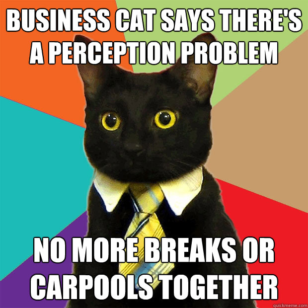 business cat says there's a perception problem no more breaks or carpools together  Business Cat