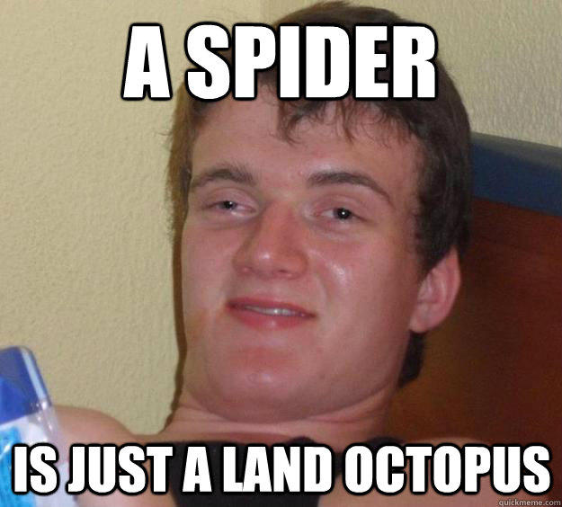 A spider Is just a land octopus  