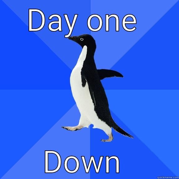 Work day out - DAY ONE  DOWN  Socially Awkward Penguin