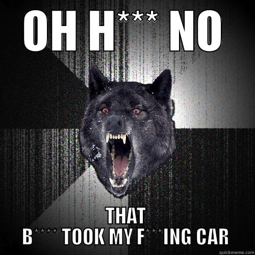 angry wolf - OH H*** NO THAT B**** TOOK MY F***ING CAR Insanity Wolf