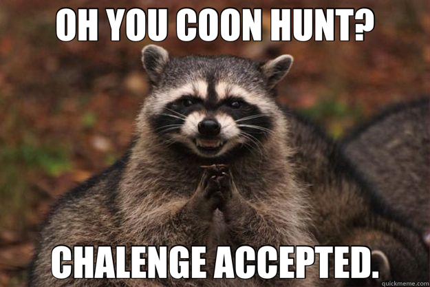 OH YOU COON HUNT? CHALENGE ACCEPTED. - OH YOU COON HUNT? CHALENGE ACCEPTED.  Evil Plotting Raccoon