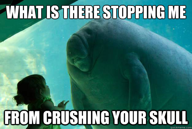 WHAT IS THERE STOPPING ME FROM CRUSHING YOUR SKULL  Overlord Manatee