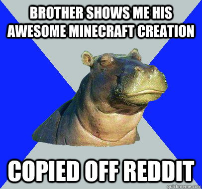 brother shows me his awesome minecraft creation copied off reddit  Skeptical Hippo