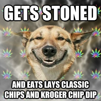 GETS STONED AND EATS LAYS CLASSIC CHIPS AND KROGER CHIP DIP  Stoner Dog