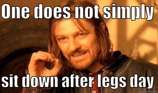 Boromeir squats - ONE DOES NOT SIMPLY   SIT DOWN AFTER LEGS DAY Boromir