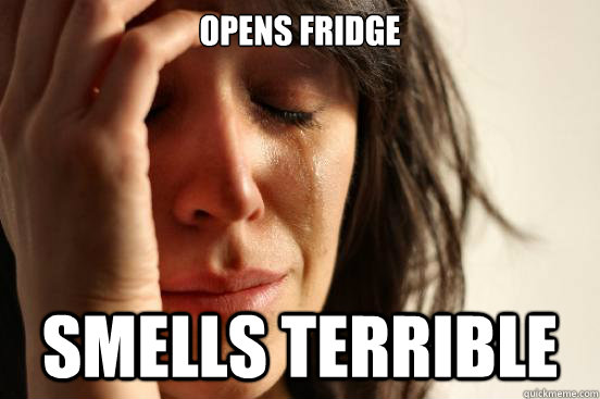 opens fridge Smells terrible - opens fridge Smells terrible  Misc