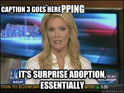 Kidnapping It's surprise adoption, essentially Caption 3 goes here  Megyn Kelly