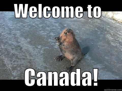 welcome to canada -     WELCOME TO              CANADA!      Misc