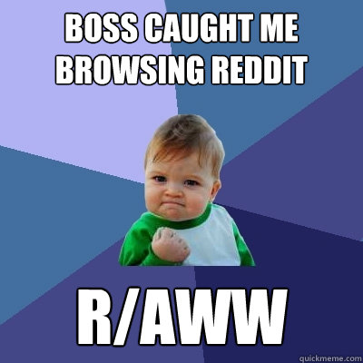 Boss caught me browsing reddit r/aww  Success Kid