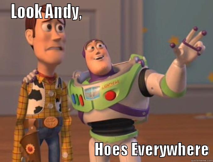 LOOK ANDY,                                                                            HOES EVERYWHERE Misc