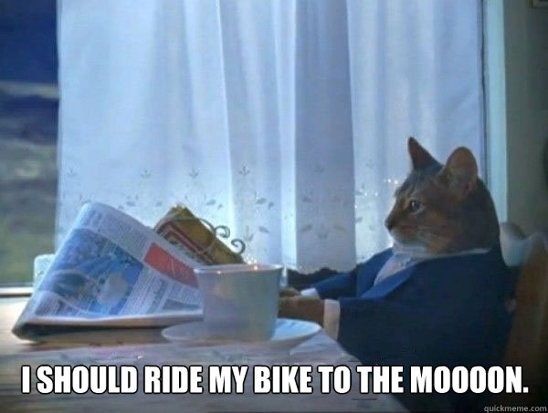  I should ride my bike to the moooon.  morning realization newspaper cat meme