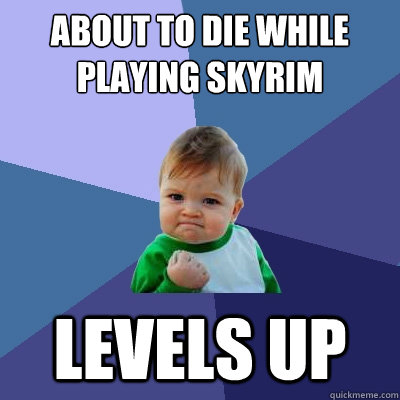 about to die while playing skyrim levels up  Success Kid