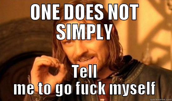 ONE DOES NOT SIMPLY TELL ME TO GO FUCK MYSELF Boromir