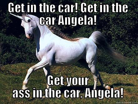 GET IN THE CAR! GET IN THE CAR ANGELA! GET YOUR ASS IN THE CAR, ANGELA! Misc