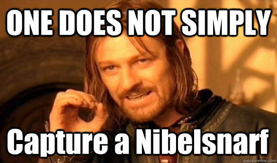 ONE DOES NOT SIMPLY Capture a Nibelsnarf  One Does Not Simply