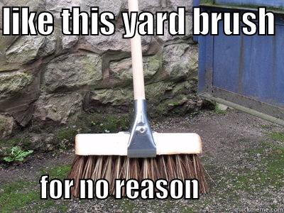 LIKE THIS YARD BRUSH           FOR NO REASON                 Misc