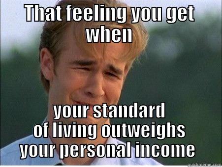 Econ meme - THAT FEELING YOU GET WHEN YOUR STANDARD OF LIVING OUTWEIGHS YOUR PERSONAL INCOME  1990s Problems