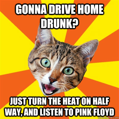 Gonna drive home drunk? Just turn the heat on half way, and listen to pink floyd  Bad Advice Cat