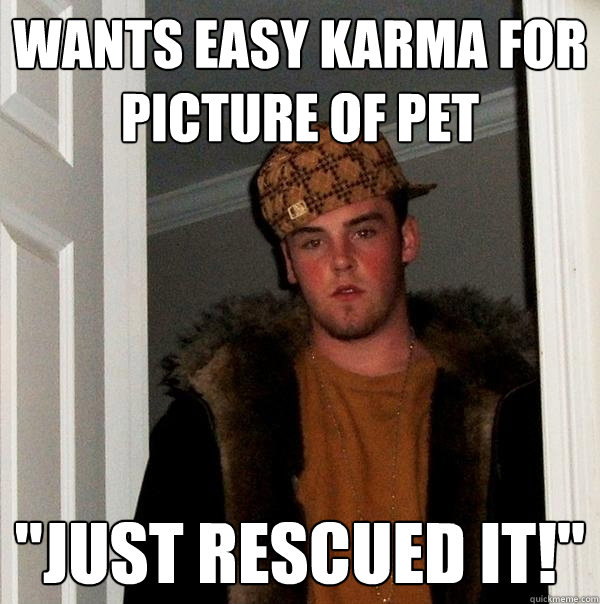 wants easy karma for picture of pet 