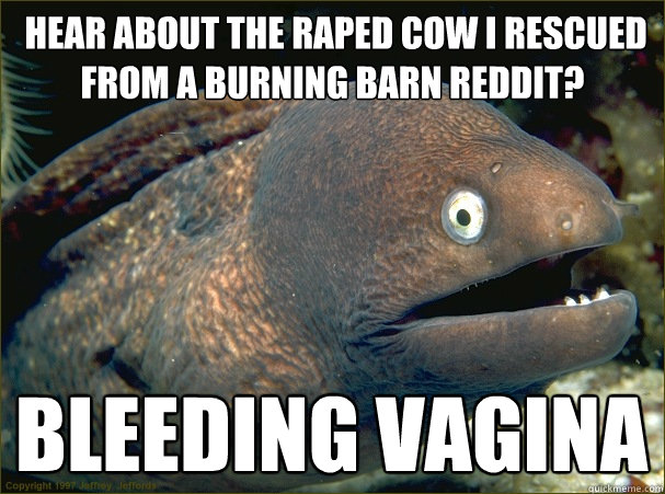  Hear about the raped cow I rescued from a burning barn reddit? Bleeding vagina  Bad Joke Eel