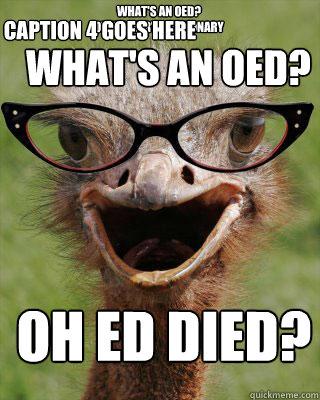 what's an oed?                      overeater's dictionary      oh ed died? what's an oed?          Caption 4 goes here  Judgmental Bookseller Ostrich