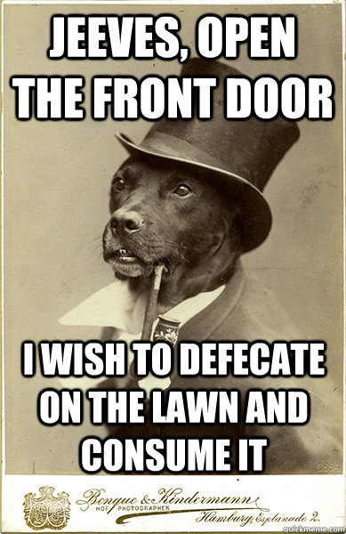 Jeeves, open the front door i wish to defecate on the lawn and consume it   Old Money Dog