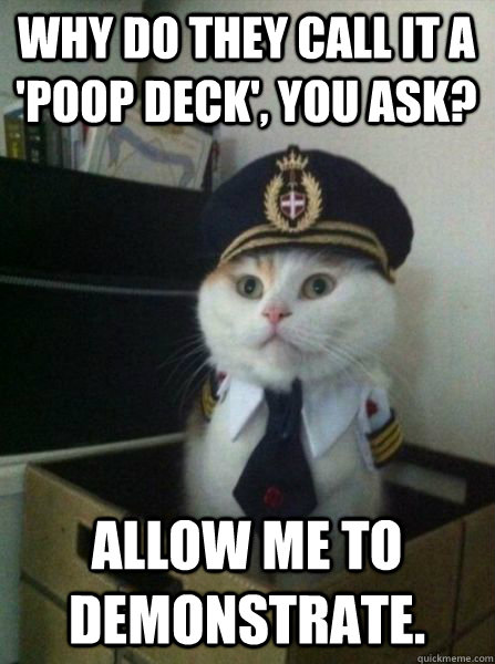 Why do they call it a 'poop deck', you ask? Allow me to demonstrate. - Why do they call it a 'poop deck', you ask? Allow me to demonstrate.  Captain kitteh