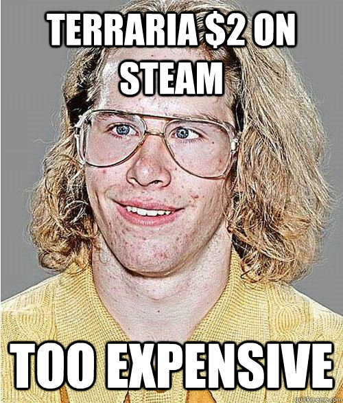 Terraria $2 on steam too expensive  NeoGAF Asshole