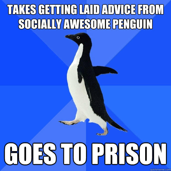 Takes getting laid advice from socially awesome penguin goes to prison  