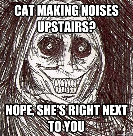 Cat making noises Upstairs? Nope, she's right next to you - Cat making noises Upstairs? Nope, she's right next to you  Horrifying Houseguest