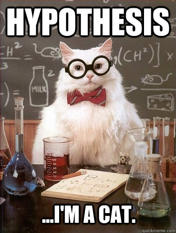 Hypothesis ...I'm a cat. - Hypothesis ...I'm a cat.  Chemistry Cat