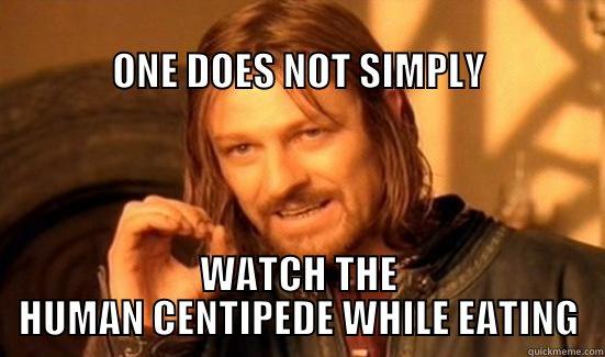                                                                       ONE DOES NOT SIMPLY WATCH THE HUMAN CENTIPEDE WHILE EATING Boromir