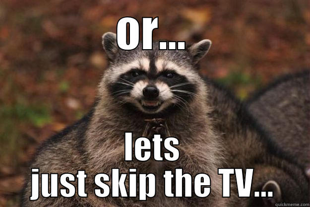 OR... LETS JUST SKIP THE TV... Evil Plotting Raccoon