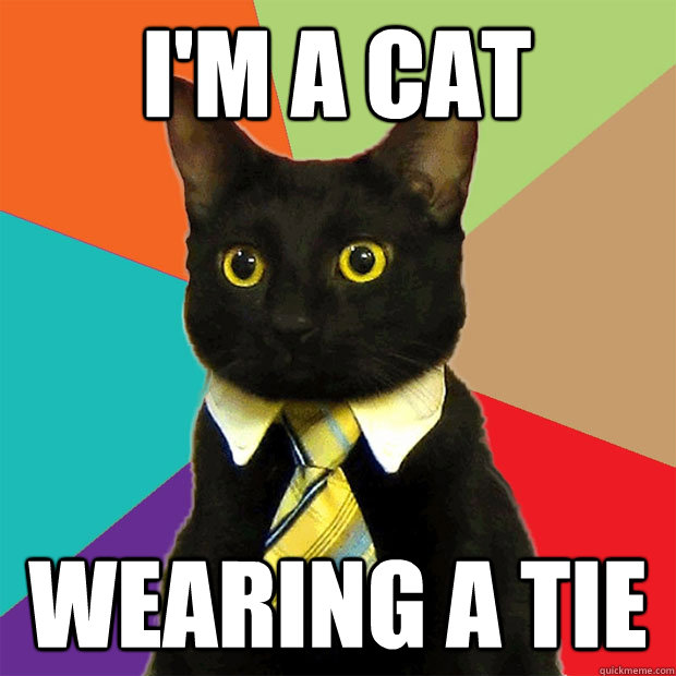 I'm a cat Wearing a tie  Business Cat