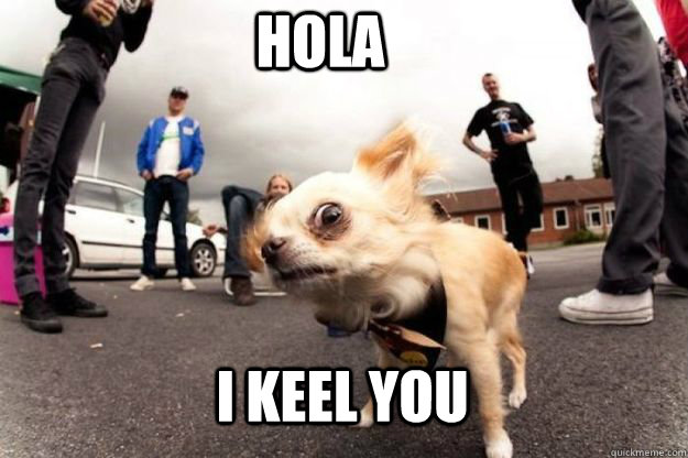 hola I keel you  