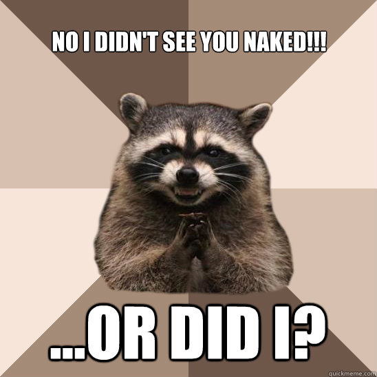 No I didn't see you naked!!! ...or did I?  Evil Plotting Raccoon