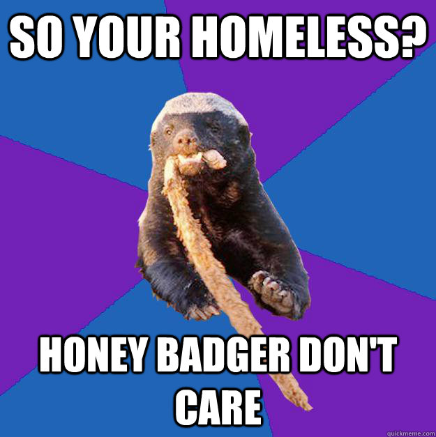 So your homeless? honey badger don't care  Honey Badger Dont Care