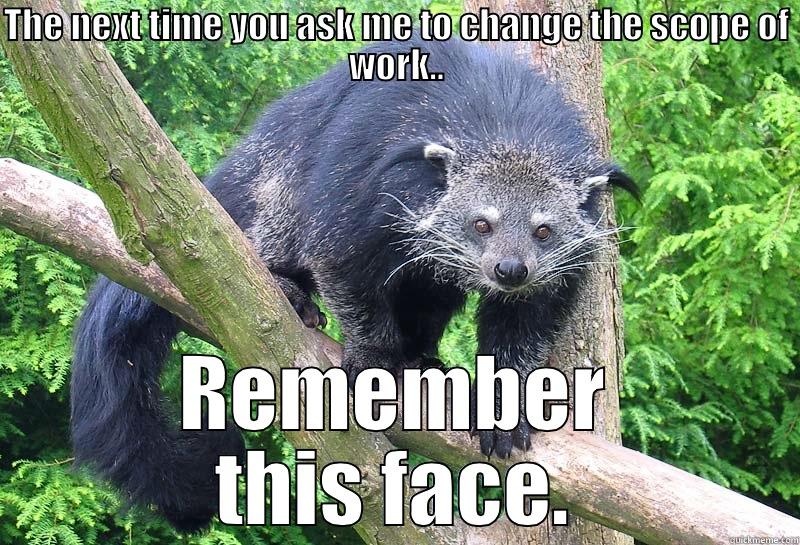 Bearcat Says - THE NEXT TIME YOU ASK ME TO CHANGE THE SCOPE OF WORK.. REMEMBER THIS FACE. Misc