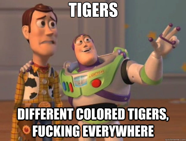 Tigers Different colored tigers, fucking everywhere - Tigers Different colored tigers, fucking everywhere  Toy Story