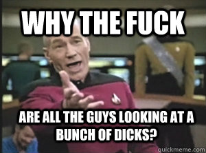 WHY THE FUCK ARE ALL THE GUYS LOOKING AT A BUNCH OF DICKS?  Annoyed Picard