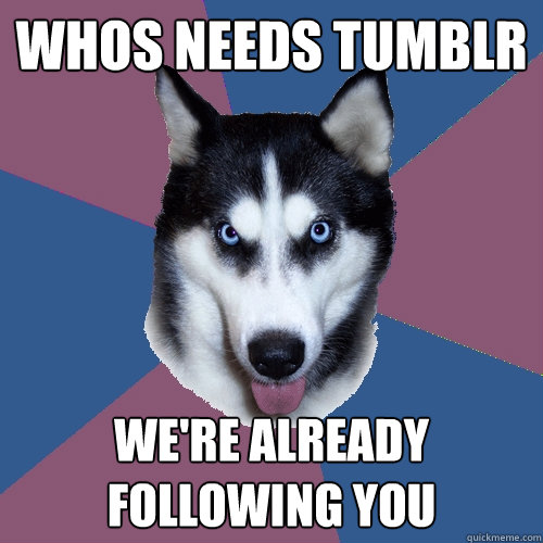 whos needs tumblr we're already following you  Creeper Canine