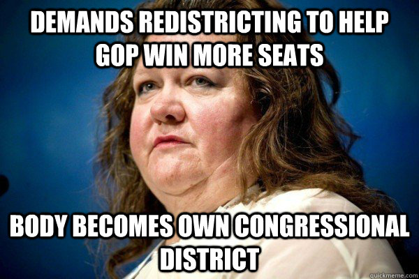 Demands Redistricting to help GOP win more Seats Body Becomes own Congressional District - Demands Redistricting to help GOP win more Seats Body Becomes own Congressional District  Spiteful Billionaire