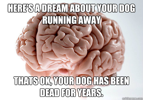 Here's a dream about your dog running away Thats Ok, your dog has been dead for years.  Scumbag Brain