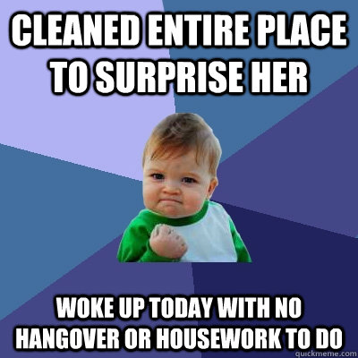 Cleaned entire place to surprise her Woke up today with no hangover or housework to do  Success Kid