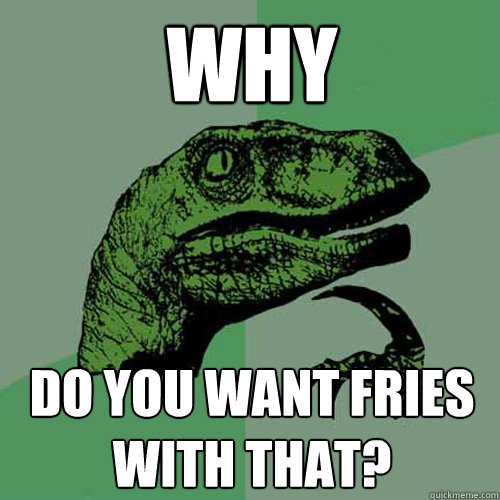 why do you want fries with that? - why do you want fries with that?  Philosoraptor