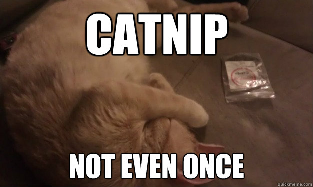 catnip not even once  